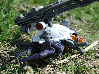 CANNON DIVER