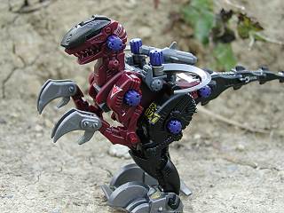REV RAPTER