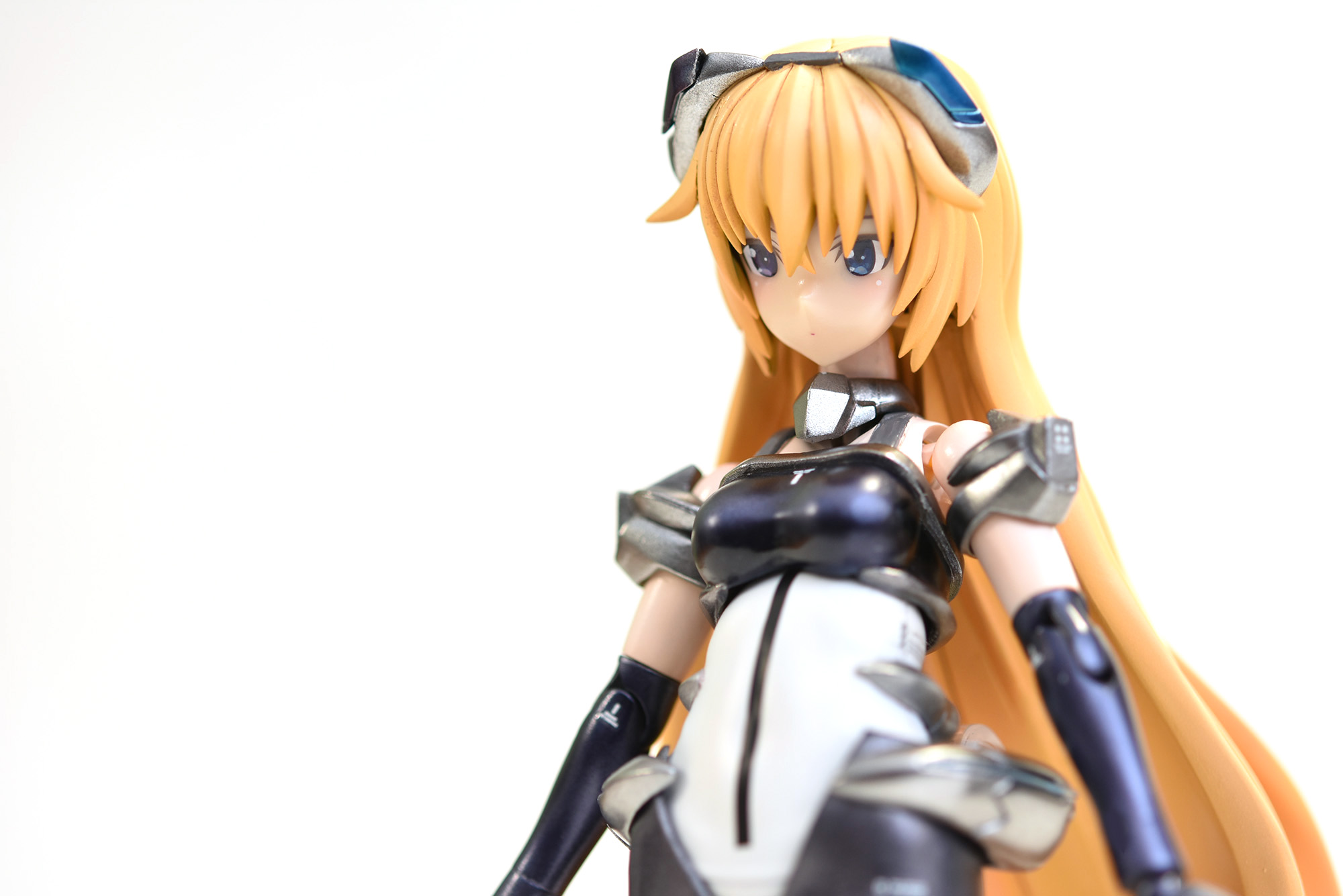 Fa Gを改造して看板娘 レイナ嬢 を作成しました Zoikino