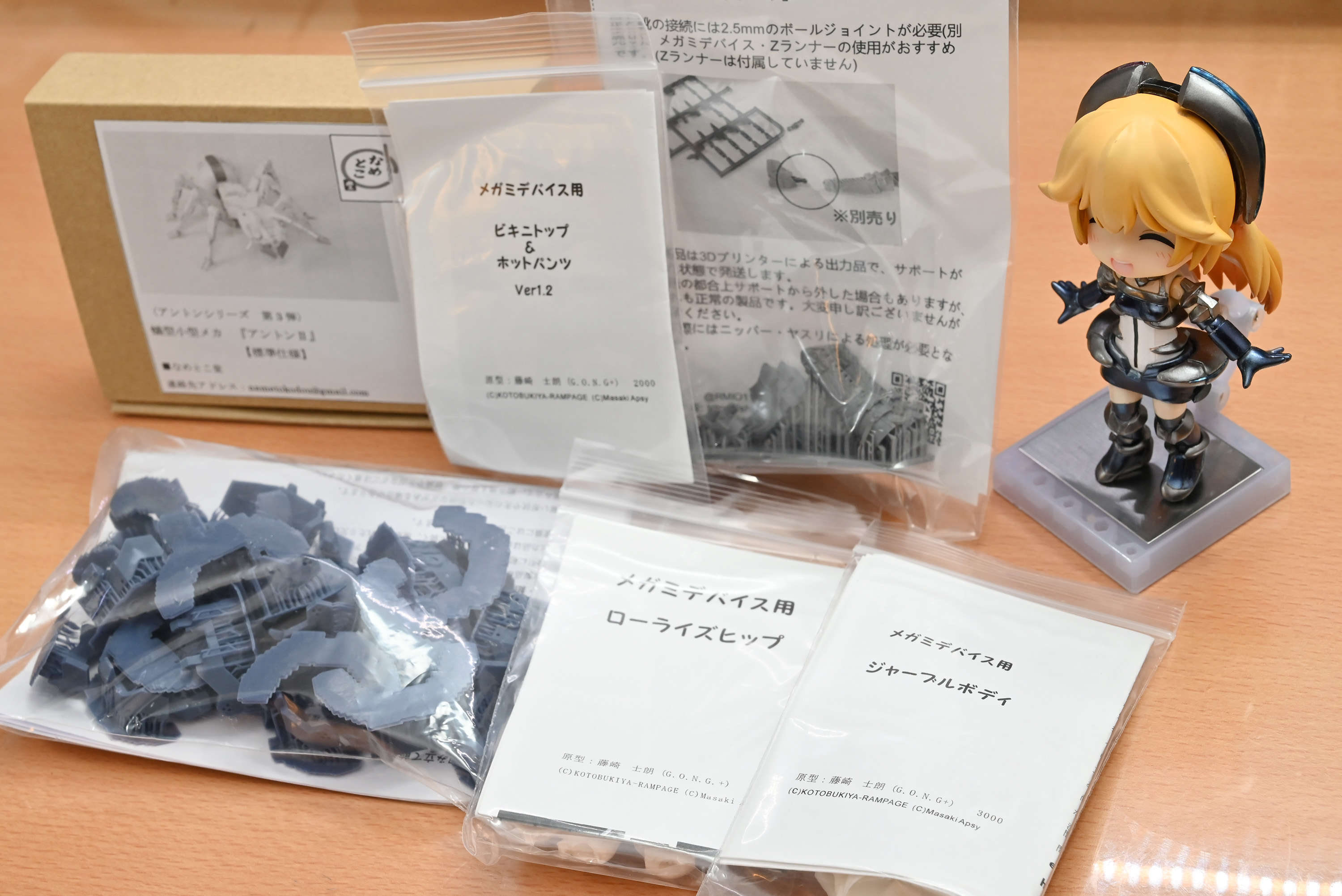 ワンダーフェスティバル2016 冬 ダイレクトパス