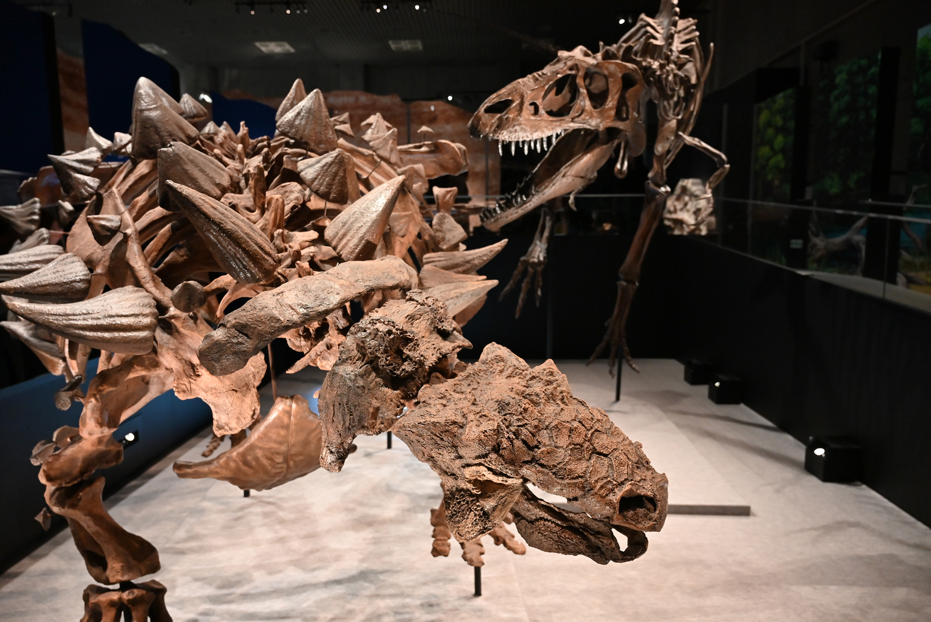 恐竜博物館の魔獣 恐竜博物館の魔獣